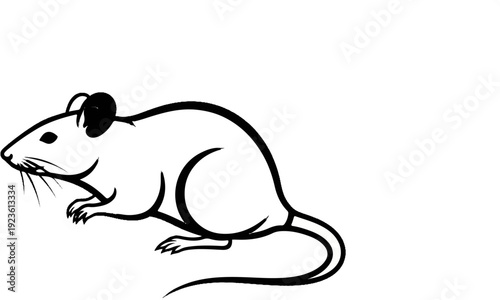 Black and white line drawing of a rodent, viewed from the side, on a white background