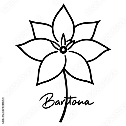 White six-petal flower illustration on black background, elegant bloom, botanical icon