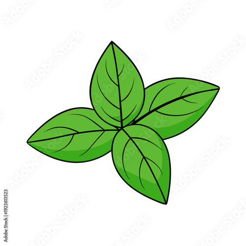 Green basil leaves illustration on black, fresh herb, culinary ingredient icon