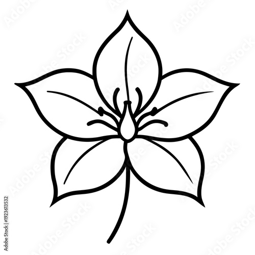 White five-petal flower illustration, simple botanical icon on black background
