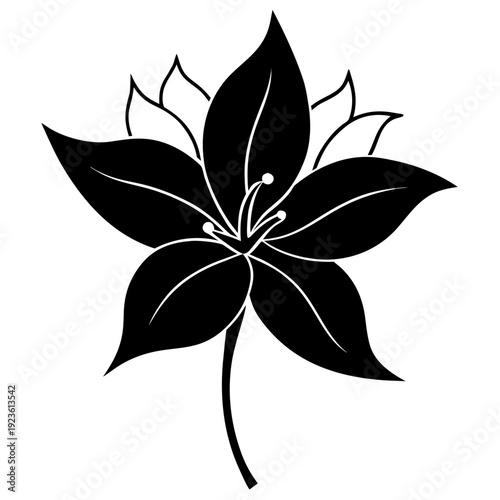 Two white dots on black background, minimalist abstract illustration, simple graphic element