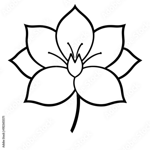 Elegant White Orchid Flower Illustration on Black Background