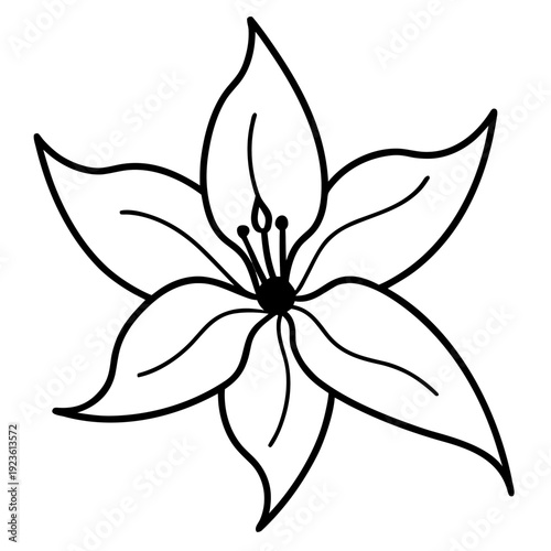 Stylized White Starflower with Stamens on Black Background