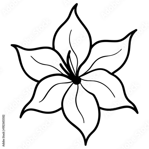 Minimalist White Tulip Flower Outline on Black Background