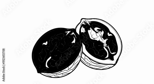 Artistic rendering of a walnut cracked open, revealing its textured kernel