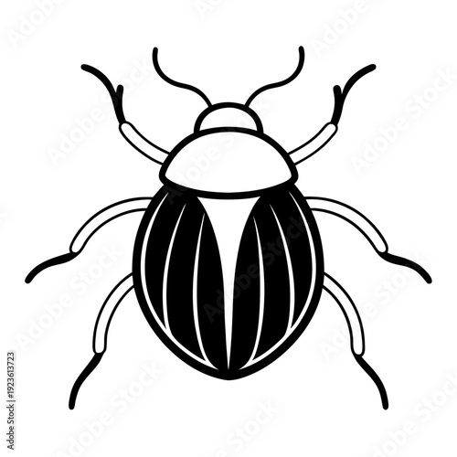 White Colorado Potato Beetle Silhouette, Insect Icon on Black