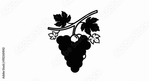 Black silhouette of a ripe grape bunch with leaves on a branch