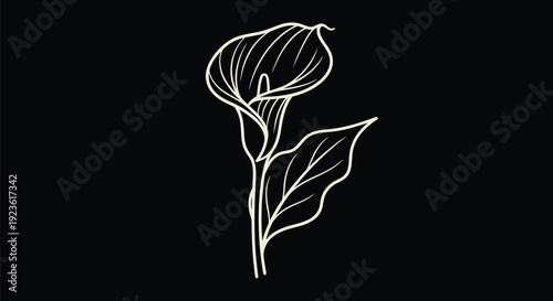 Calla Lily Monoline Outline on Black – Off-White Minimal Flower with Long Leaf Vector Line Art