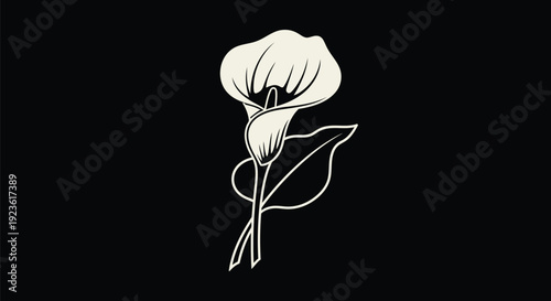 Calla Lily Monoline Outline on Black – Off-White Minimal Flower with Long Leaf Vector Line Art