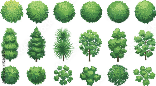 bushes, shrubs, plants, foliage, greenery, garden, landscape, botanical, nature, illustration, collection, isolated, clipart, flat, vector, illustration, modern, set,
