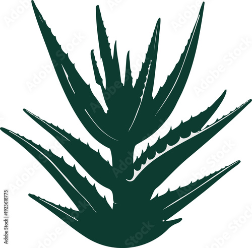  Minimalist natural floral vector sticker of aloe vera plant leaf cluster, bold black thick clean outline, pure white background 1
