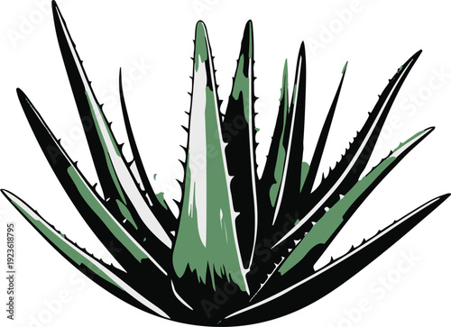  Minimalist natural floral vector sticker of aloe vera plant leaf cluster, bold black thick clean outline, pure white background 2