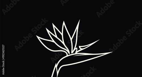 Bird of Paradise Flower Monoline Outline on Black – Off-White Strelitzia Minimal Vector Line Art