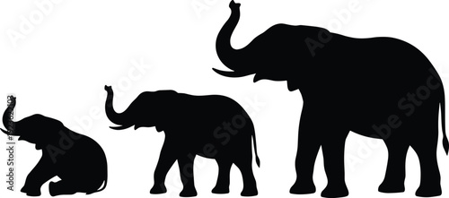 Elephant silhouettes illustration, wildlife animal growth stages calf juvenile adult character design, vector artwork, nature and education theme, isolated background