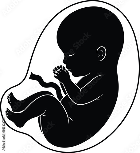 Human fetus silhouette in womb, prenatal development concept, pregnancy healthcare education, medical anatomy illustration isolated, black white icon flat design