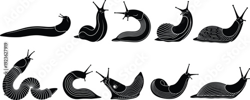 Black slug silhouette vector set with various garden gastropod mollusk positions isolated on white background for nature and pest design