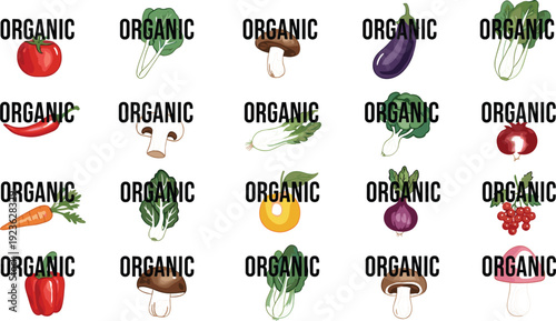 Organic Vegetable and Mushroom Icons Set – Fresh Healthy Food Vector Collection