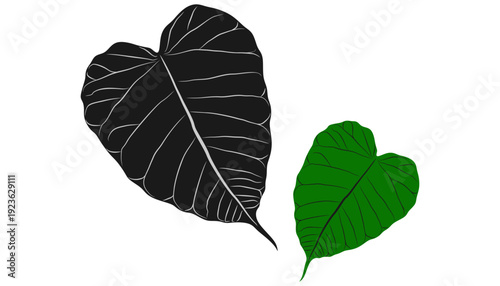 Bodhi leaf silhouette vector design for Vesak Day eps 4