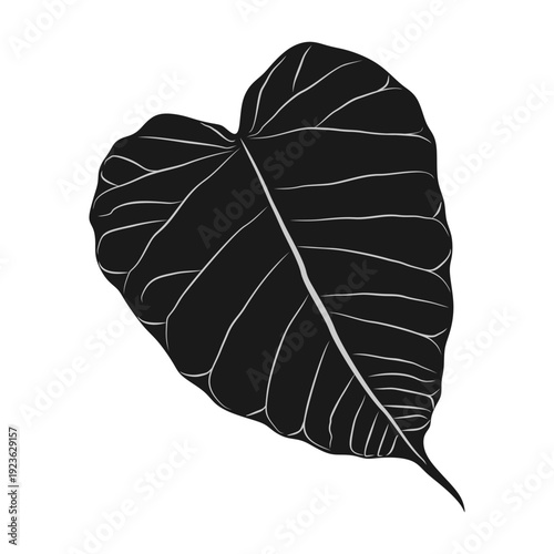 Bodhi leaf silhouette vector design for Vesak Day eps 2