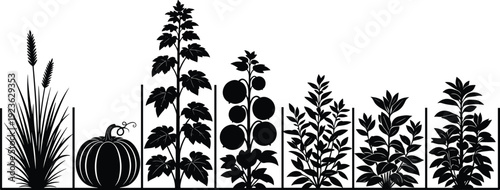 Vector set of black silhouettes featuring various garden crops including pumpkin, tall corn, leafy vegetables, and plants in a row isolated on white background