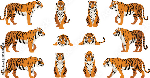 Tiger Wild Animal Cartoon Character Poses Collection with Walking Standing Sitting and Resting Big Cat Flat Vector Illustration Set Police Stop