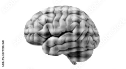 Halftone Human Brain Detailed Vector Illustration Isolated on White Background