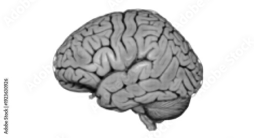 Halftone Human Brain Side View Vector Illustration Isolated on White Background