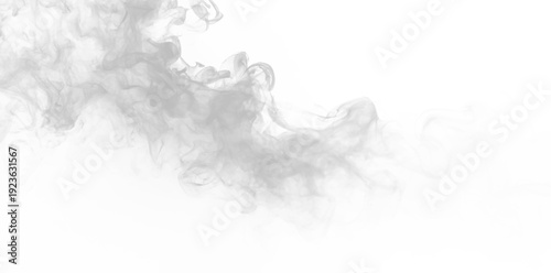 White smoke drifts in soft, curling patterns. Transparent background allows seamless layering. Ideal overlay for ethereal, mystical, or fantasy art.PNG