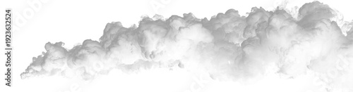 Floating mist swirls in soft, ghostlike patterns. Transparent fog layers add depth and mystery. Ideal overlay for fantasy or eerie artwork.PNG