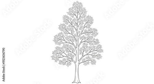 A lone tree stands tall in a serene landscape viewed from the front with branches stretching upwards