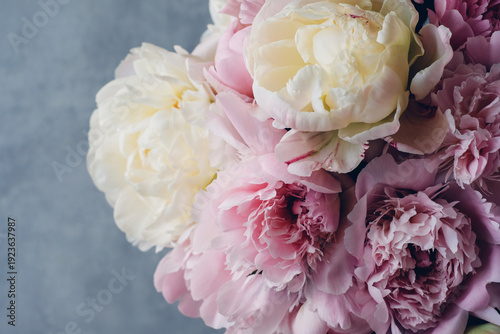 Heap of beautiful fresh colorful peonies in full bloom on gray background, top down view.