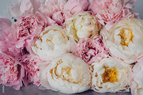 Heap of beautiful fresh colorful peony flowers in full bloom, close-up view. Floral texture for background.