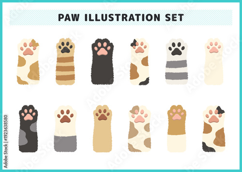 三毛猫やトラ猫など様々な毛色の猫の足と肉球のイラストセット ふわふわした可愛いペットの手のバリエーション豊富なベクター素材 動物病院やペットショップのバナー広告やアイコンに最適なパーツ集