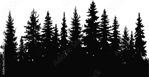 Pine, forest, silhouettes, evergreen, trees, nature, woodland, landscape, conifer, wilderness, outdoor, environment, scenic, dense, natural, background, horizon, vector, flat, illustration