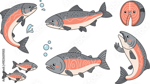 Salmon Fish Cartoon Collection with Whole Fillet Steak and Jumping River Poses Fresh Seafood Flat Vector Illustration Set Police Stop