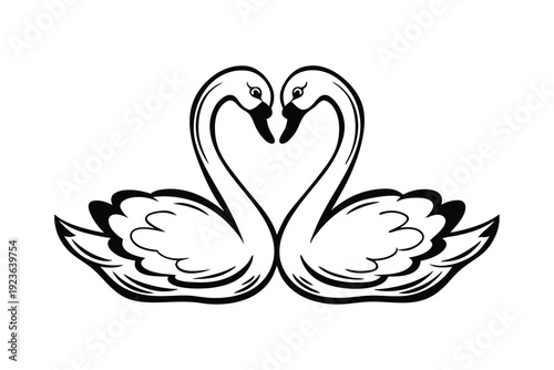 Two elegant swans create a heart shape with their necks on a white canvas