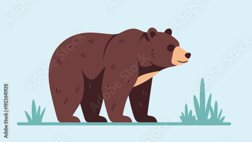 Brown bear standing in a flat vector illustration.
