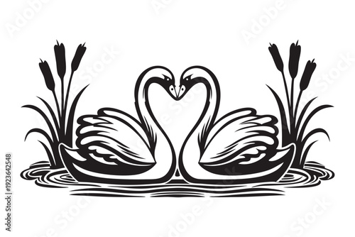 Two swans form a heart shape in water near reeds
