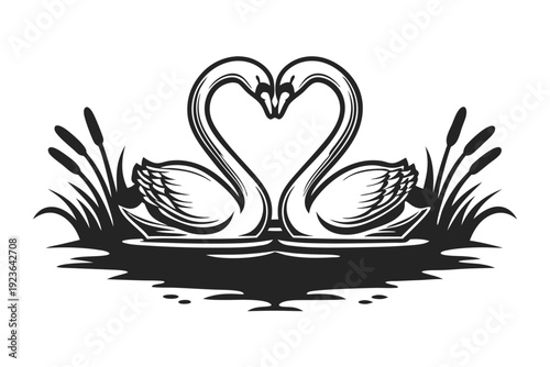 Two swans form heart shape in water with vegetation around them