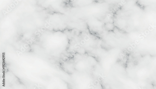 White marble texture with dark grey veins background