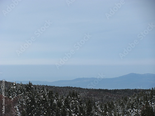 ,Winter Pine Forest with Fresh Snow Natural Cold Mountain Scenery,