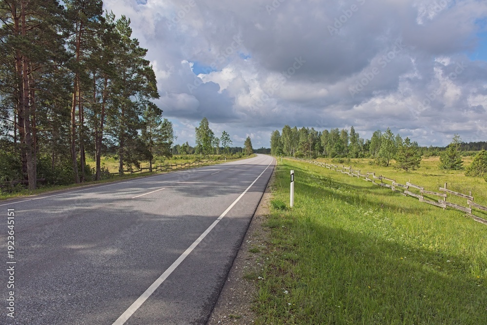 Fototapeta premium Scenic rural Kuivastu to Kuressaare road, featuring paved two lane asphalt road with traditional wooden fences lining the grassy fields alongside it in cloudy summer weather, Saaremaa, Estonia, Europe