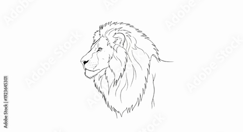 Line art sketch of a majestic lion's head in profile view
