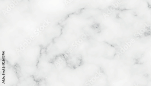 White marble texture with grey veins background