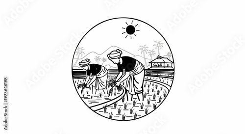 Farmers planting rice in a field under a bright sun, with a house and mountains in background