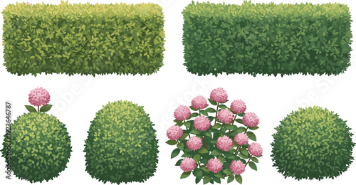Collection of digitally illustrated bushes and flowering shrubs in various shapes and colors, perfect for gardening, landscaping, design projects, and educational visual references.