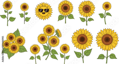 Sunflower Collection Set with Blooming Yellow Flowers, Leaves and Cute Cartoon Face for Summer Garden and Floral Illustration Designs