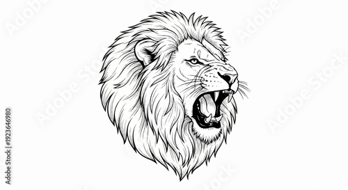 Fierce black and white drawing of a lion's head roaring (1)