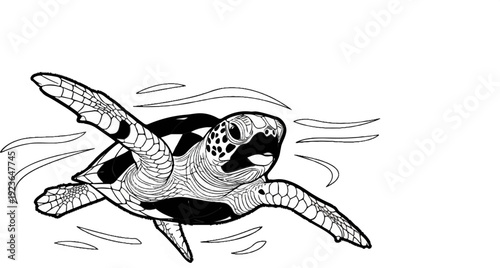 Line art of a sea turtle swimming amidst stylized waves