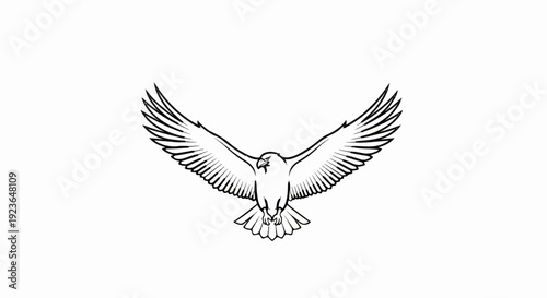 Line art of a bird of prey with wings spread wide